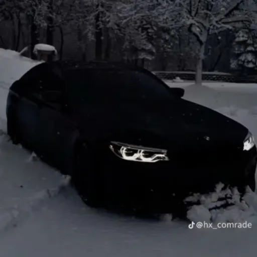 creator 2021bmwbitchdog202's avatar