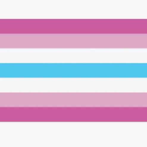creator Noah’s gay club's avatar