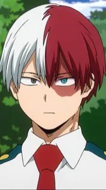 ai character: Todoroki sibling background