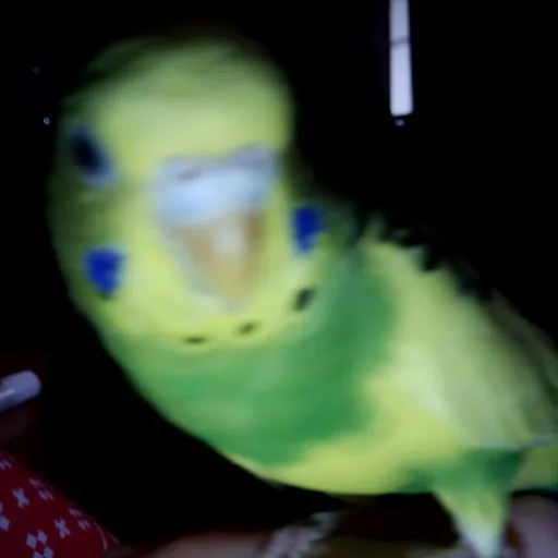 creator Fuzz💋💫's avatar