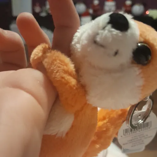 creator Fen (Cartoon cat)'s avatar