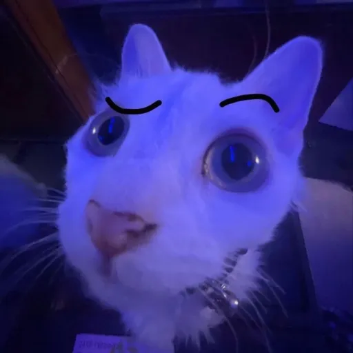 creator Nova_112's avatar