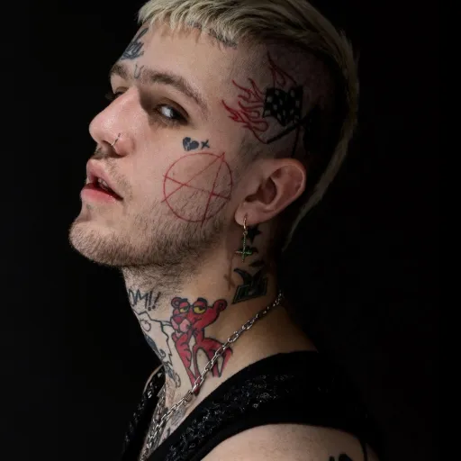 creator chico loco☓️🖤 🩵's avatar