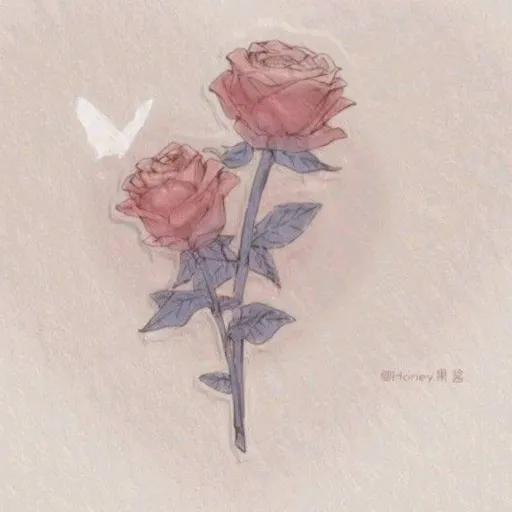 creator 《♡°•Rº§ẹ •°♡》's avatar