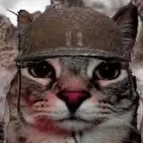 creator Ineedlhelp's avatar
