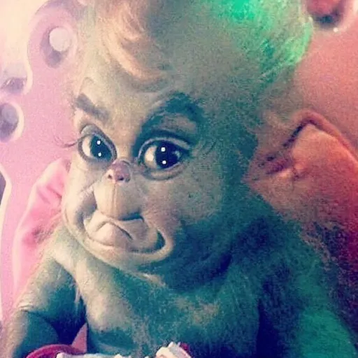 creator ⋆˚𝜗𝜚˚⋆BeatrixT^T's avatar