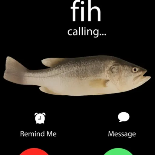 creator Da Great Fih's avatar