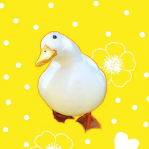 creator Ducksies's avatar