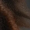 chat with ai character: Trayvon