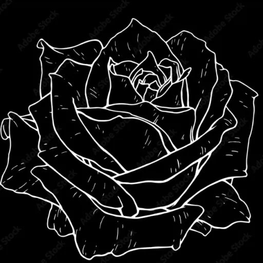 creator ~.{UnknownL_67}.~'s avatar
