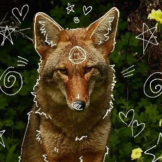 creator xXSolarOnPawsXx's avatar