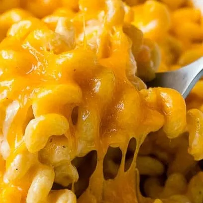 creator MACNCHEESEEEEEEEEE's avatar