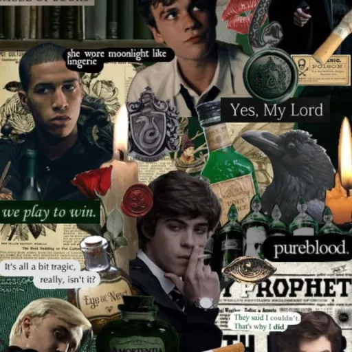 creator 🐍💍slytherin wife💍🐍's avatar