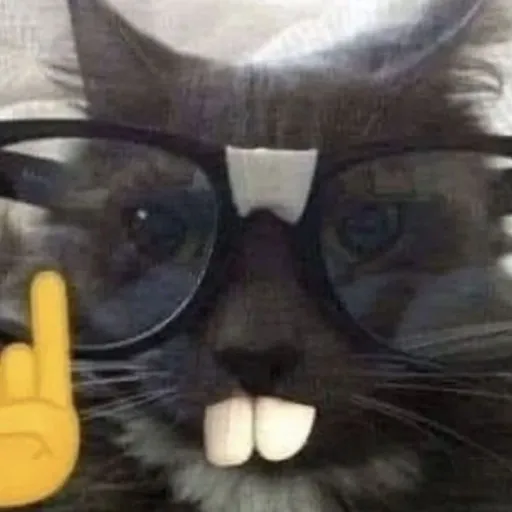 creator t4ufxnn's avatar