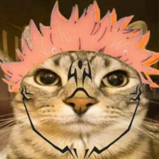 creator sukuna_cat_idk's avatar
