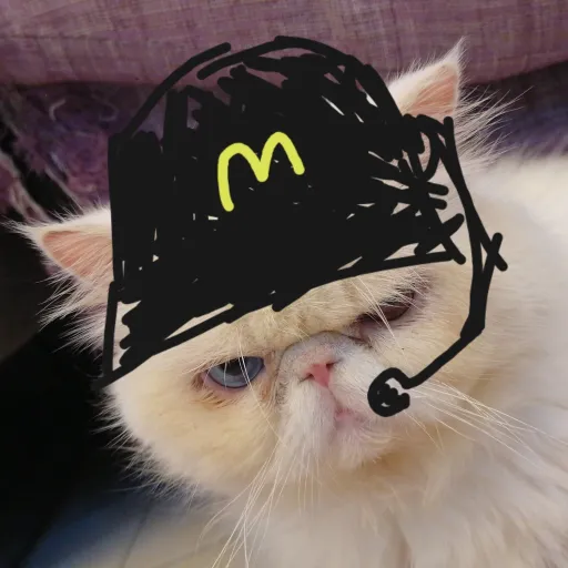 creator ✨Cat soldier✨'s avatar