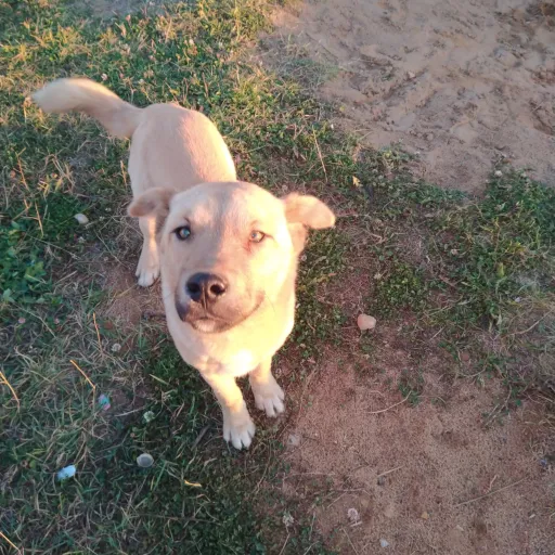 creator jack587's avatar