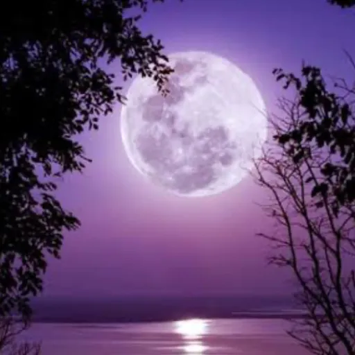 creator I like moons🌙✨'s avatar