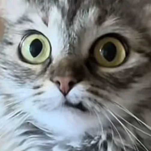 creator Emily_01 🤑🤑's avatar