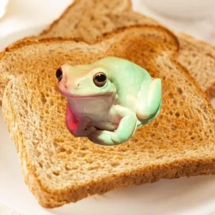 creator FrogOnToast's avatar