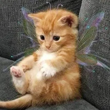 creator Kittyfan2's avatar