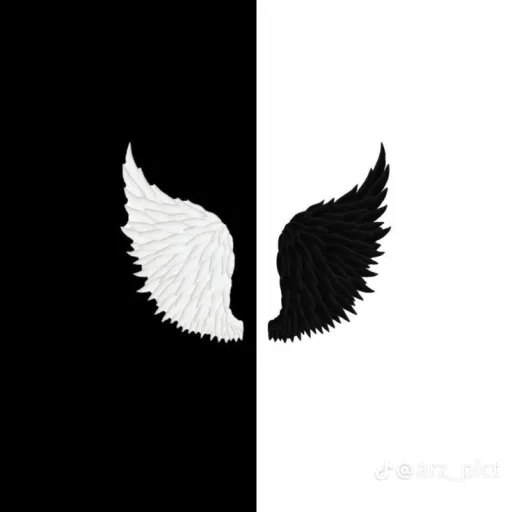 creator Angel 😇❤️ love you's avatar