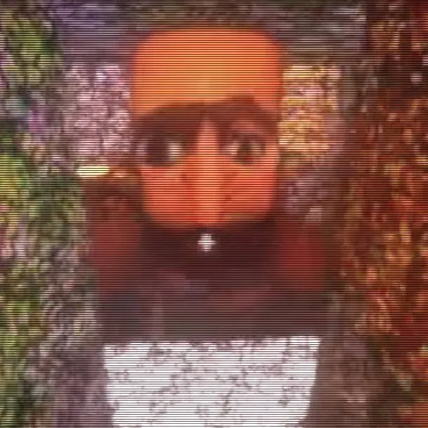 chat with ai character: aldeano