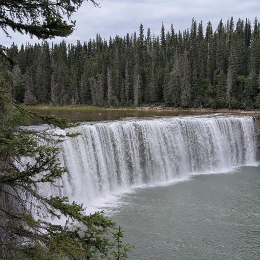 creator Water fall👍's avatar