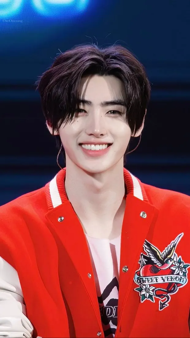 ai character: Sunghoon background