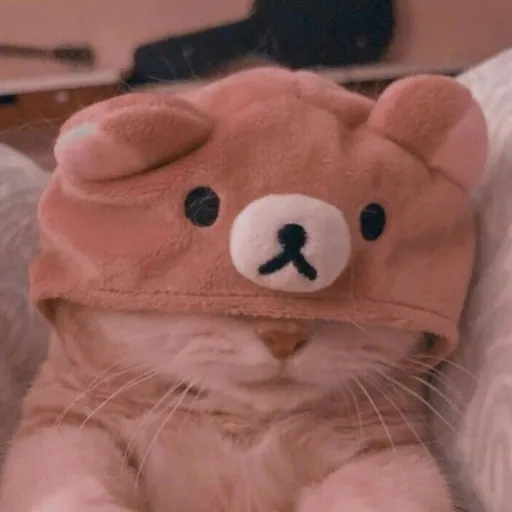creator Meowahh's avatar