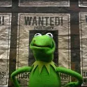 creator 🐸kermit🐸's avatar