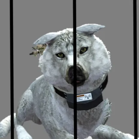 chat with ai character: Rare animal