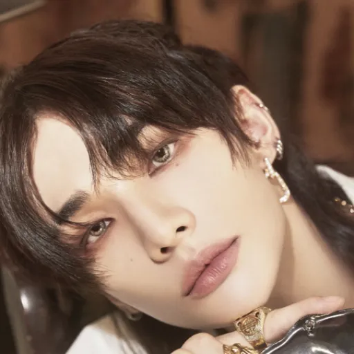 creator Hyunjin- fan's avatar