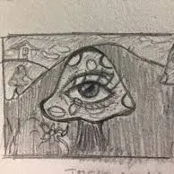 creator …🍄…?'s avatar