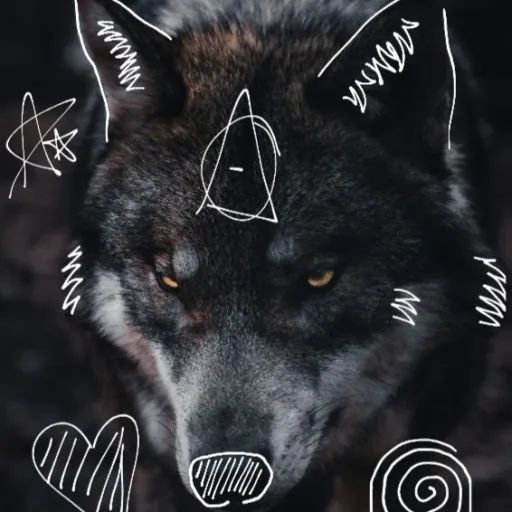 creator |~|`Âŝĥ`|~|'s avatar