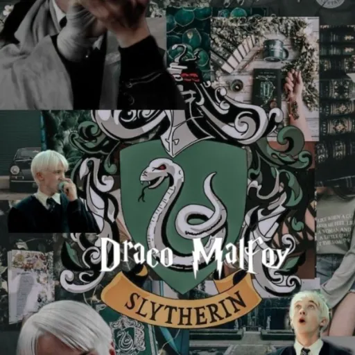 creator Draco’s wifey🐍's avatar