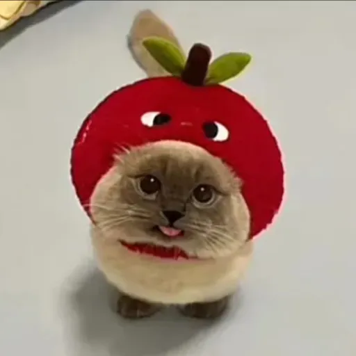 creator ★Applepie★'s avatar