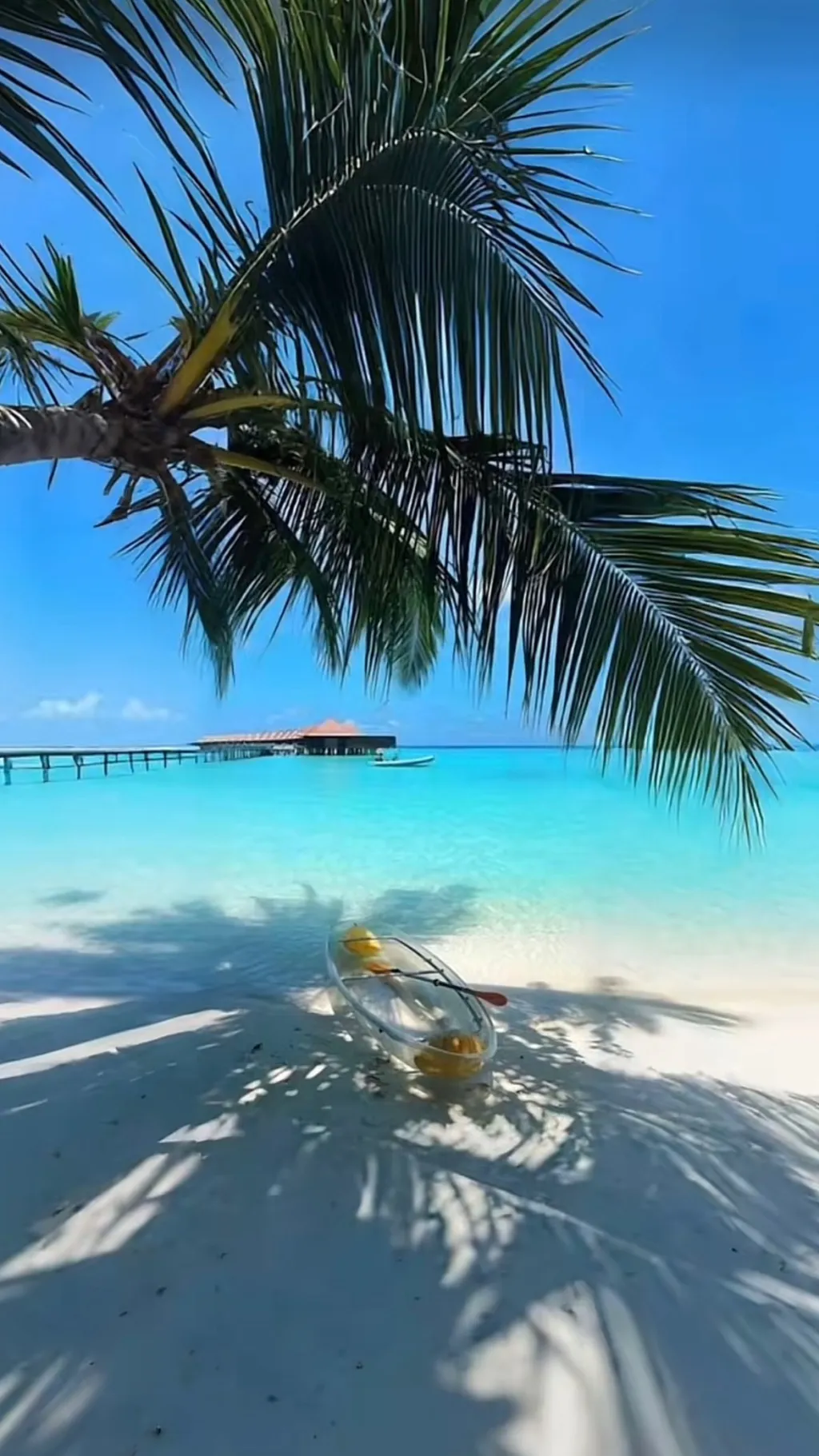 Talkie AI - Chat with F1 Stuck on Island
