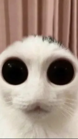 ai character: me background