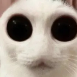 chat with ai character: me