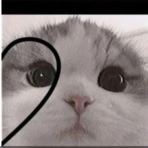 creator ◇♡катя♡◇'s avatar