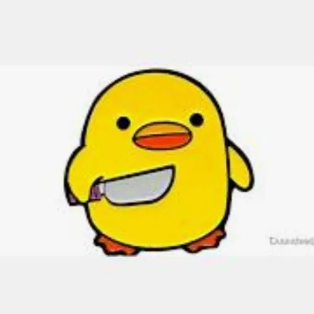 creator duckyduckquackquac's avatar