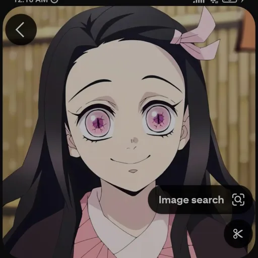 creator 🌷°~nezuko~°🌷's avatar