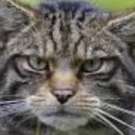 creator It's all biology's avatar