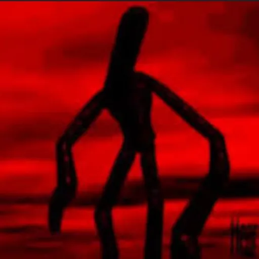 creator _פרחים_'s avatar