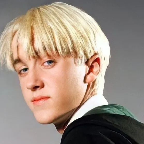 chat with ai character: Draco