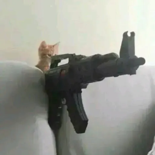 creator Lethal cat's avatar