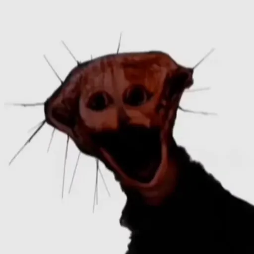 creator The Boiled boi's avatar