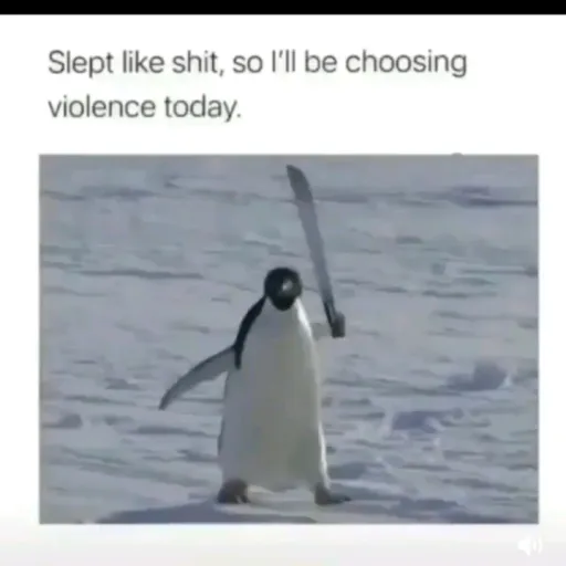creator AggressivePenguin🐧's avatar