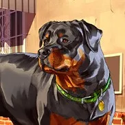 creator Chop 🐶's avatar